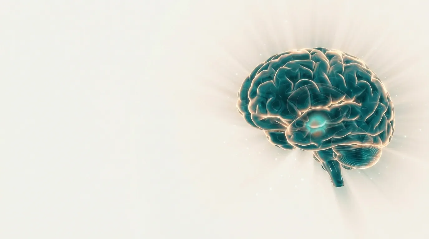 Ilustración de un cerebro humano en tonos teal con una zona resaltada